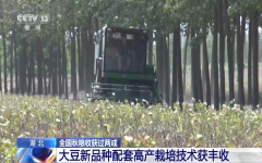 秋粮收成已过半看各地良种良法