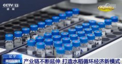 良种、良法、良机护航正在郊野好“丰”光里看
