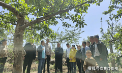 霍州市：科技赋能苹果财产成长 为村落复兴注入
